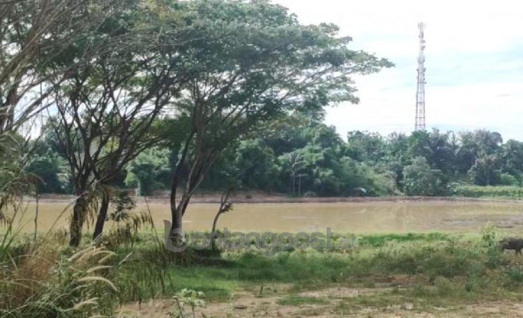 Waduk Kanaan. (Nasrullah/bontangpost.id)