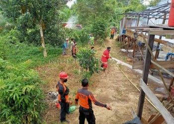 Penjaga Ketiduran, 3 Ribu Ekor Ayam Terpanggang