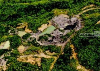 Terganjal Aturan, Dinas ESDM Kaltim Tak Bisa Tindak Tambang Ilegal
