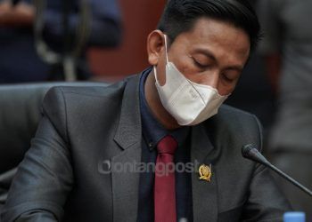BW Minta Kasus Penebangan Bakau Ilegal Diselidiki