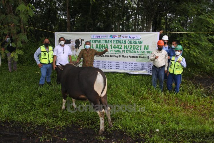 Departement Head CSR Pama Agung Dwi (kiri) saat menyalurkan hewan kurban. (CSR Pamapersada)