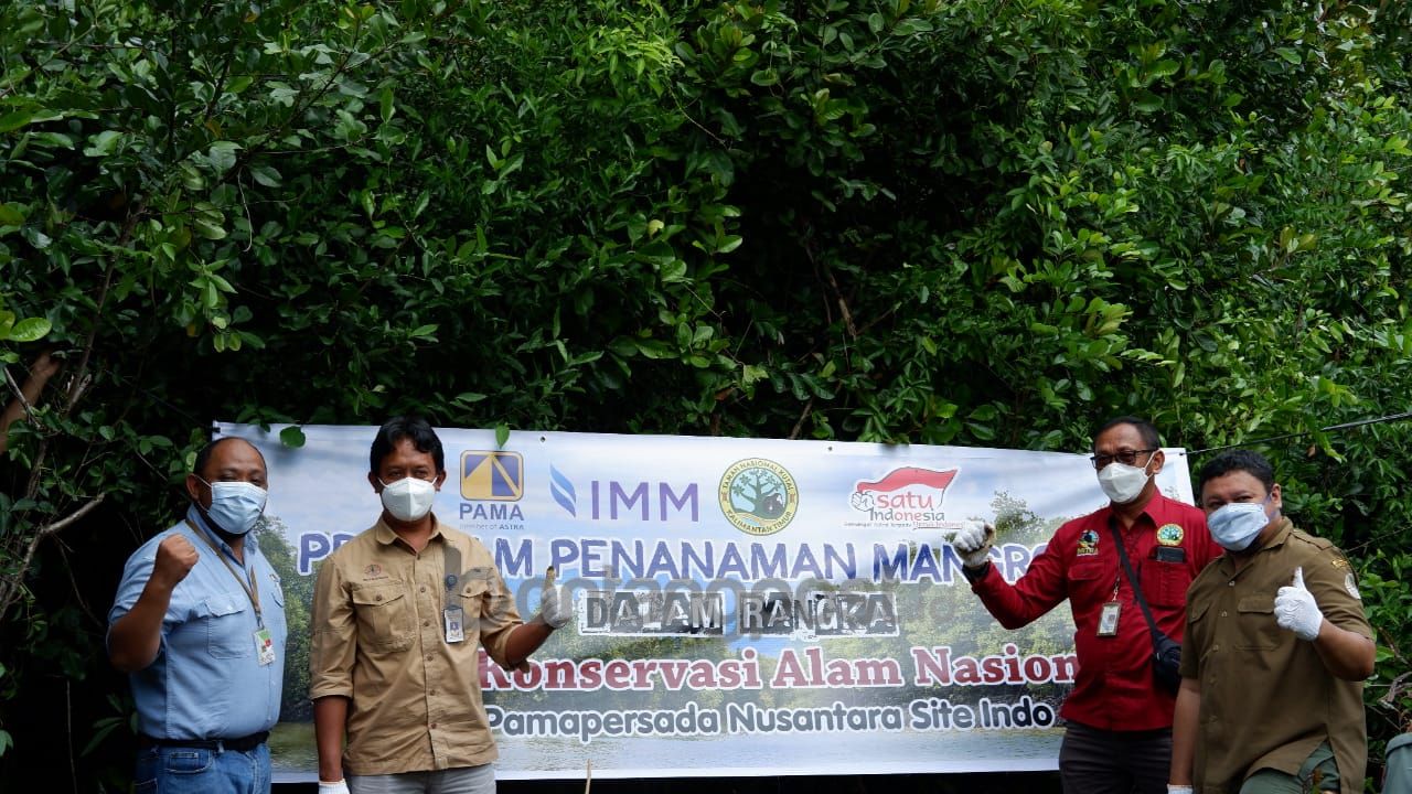 Peringati HKAN 2021, PT Pamapersada Nusantara Berikan 2.000 Bibit Mangrove ke BMP  1