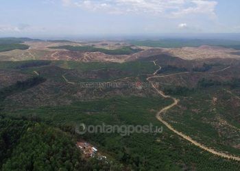 Banyak Sengketa Lahan di Dekat IKN, Disarankan Bentuk Tim Terpadu