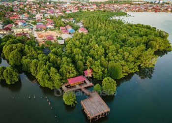 Kembangkan Potensi Mangrove, Pupuk Kaltim Raih Penghargaan Internasional