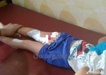 Sudah Empat Kali Konflik Buaya dan Manusia di Kampung Mandar Loktuan, Warga Diminta Waspada