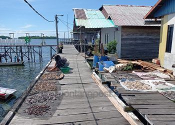 Pesisir Hanya Dapat Bandwidth Wifi Gratis 7 Mbps