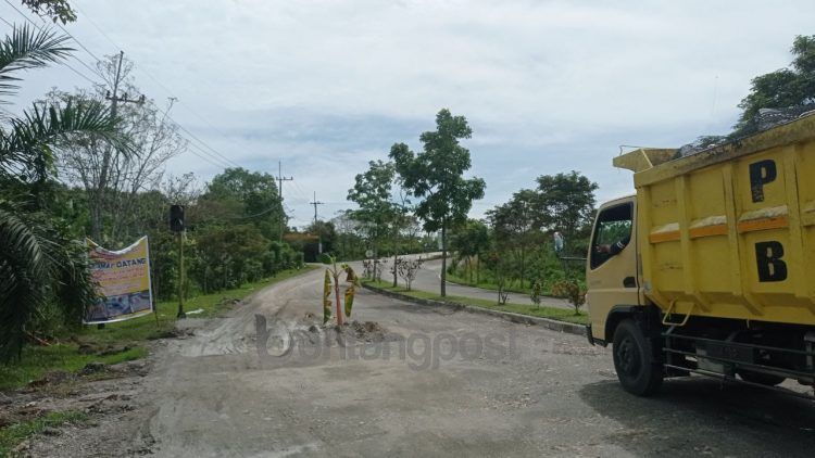 Warga menanam pohon pisang sebagai bentuk protes kerusakan jalan di Bontang Lestari. (dok)