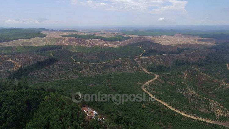 Daerah Kelurahan Pamaluan, kecamatan Sepaku, PPU.