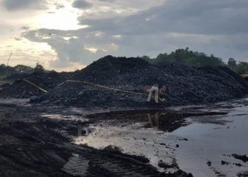 Beroperasi Sejak 2016, Penambang Batu Bara Ilegal Ditangkap