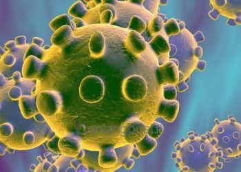 Berlayar di Perairan Kukar, 20 ABK Kapal Vietnam Terkonfirmasi Positif Covid-19