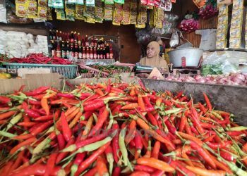 Harga Cabai Meroket, Pasokan Berkurang, Pasar Murah Bakal Digelar