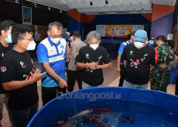 Capai 1.200 Pendaftar, PKT Bontang KOI Show 2021 Cetak Sejarah Peserta Tertinggi di Kalimantan