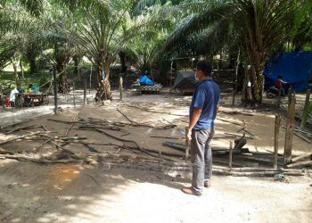 Arena Sabung Ayam di Jalan Soekarno-Hatta Dibongkar Polisi