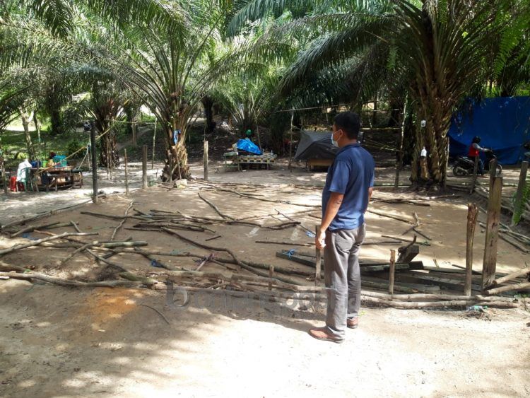 Arena sabung ayam di Bontang Barat dibongkar.