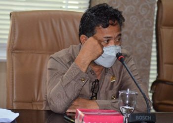 Amir Tosina Pertanyakan RPJMD, Soroti Hal Ini