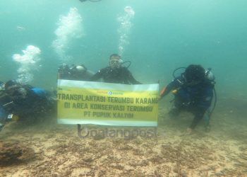 12 Tahun Berjalan, Program Rehabilitasi Terumbu Pupuk Kaltim Jadi Rumah Ternyaman Puluhan Spesies Ikan di Bontang