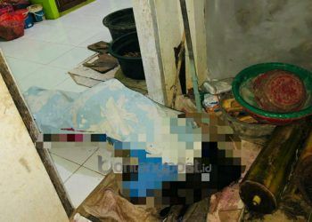Mayat Perempuan Ditemukan di Gunung Telihan, Diprediksi Sudah Tiga Hari