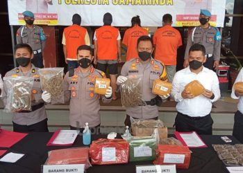 4 Kilogram Ganja Gagal Edar di Kalangan Mahasiswa Samarinda
