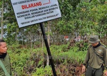 Tahura Bukit Soeharto Jadi Target Operasi