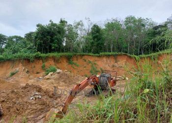 Pengusaha Tambang Ilegal Makin Kaya, Daerah Kebagian Rusaknya Lingkungan
