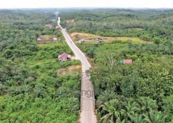 Arab Saudi dan UEA Disebut Jadi Investor Utama IKN