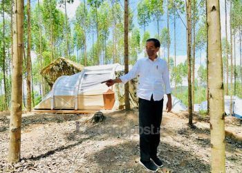 IKN Tampung 200 Ribu Tenaga Kerja