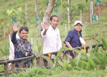 Agustus Pembangunan Gedung dan Jalan IKN Dimulai, 2024 Ditarget Rampung