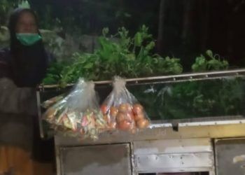 Hasil Menabung 25 Tahun, Nenek Penjual Sayur di Tenggarong Akhirnya Naik Haji