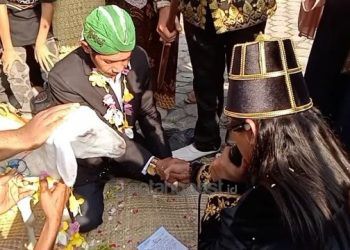 Viral Pria Nikahi Kambing, Ini Kata Kemenag