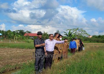 Dinilai Bisa Kurangi Dampak Banjir, Lahan Warga di Gunung Elai Diusulkan Jadi RTH