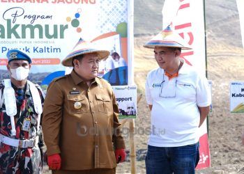 Perluas Program Makmur, PKT Tanam Jagung 50 Hektare di Gorontalo