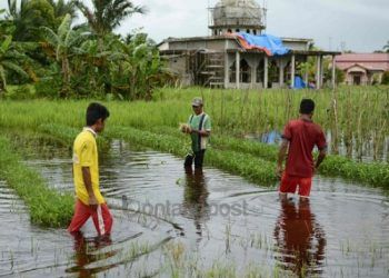 Petani Korban Banjir Bontang Diusulkan Dapat Bantuan