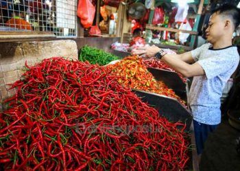 Harga Cabai Baru Turun Bulan Juli