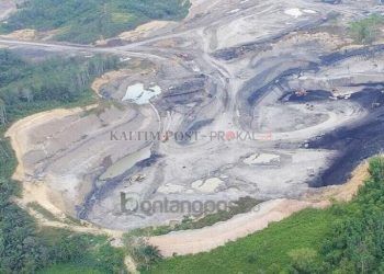 Soal Pemalsuan Izin Tambang, Menko Ekonomi Minta Pemprov Kaltim Lapor Polisi