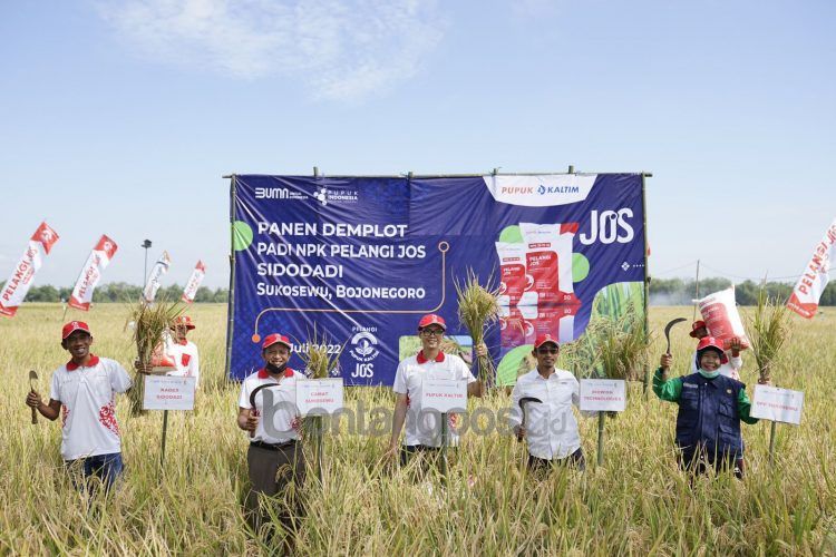 Pengembangan produk baru dalam mendukung sektor pertanian dalam negeri terus digencarkan PT Pupuk Kalimantan Timur