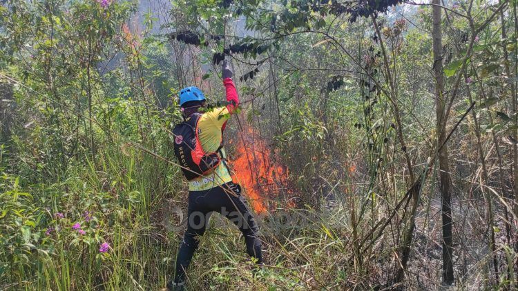 Petugas BPBD memadamkan lahan yang terbakar di Bontang Lestari.
