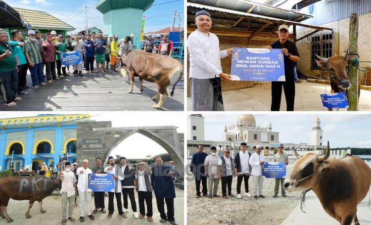 PKT salurkan hewan kurban di momen Iduladha