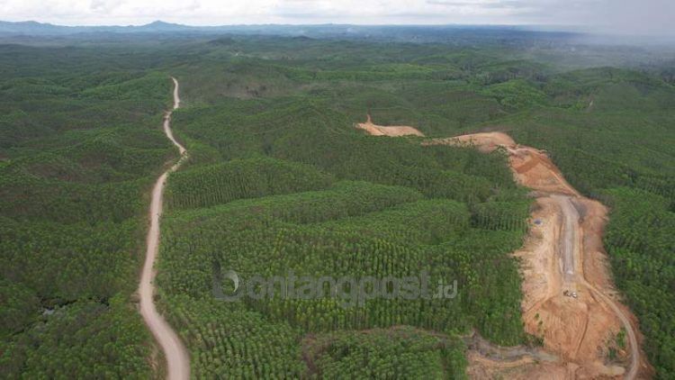 KLHK menunggu permohonan dari Otorita IKN untuk melepas 36 ribu hektare kawasan hutan produksi di Sepaku.
