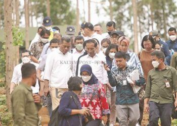 Reklamasi Lubang Tambang Pakai APBN, Kejar Perusahaan yang Kabur