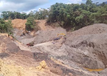 Tambang batu bara ilegal di Desa Danau Redan menyerobot lahan pertanian warga.