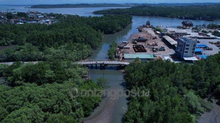 Perlu upaya masif untuk menekan dan merestorasi hutan bakau yang kondisinya kian mengkhawatirkan