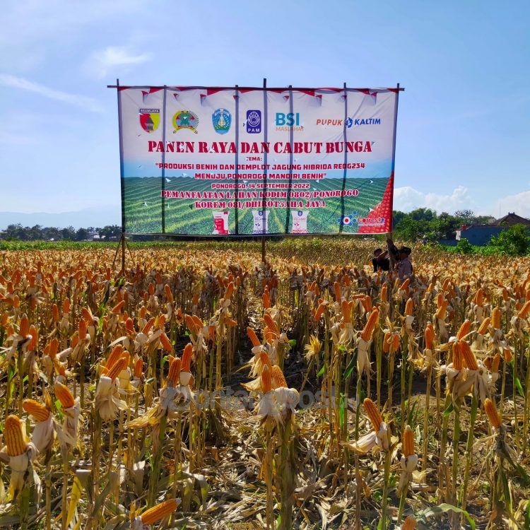 Pupuk Kaltim turut mengambil peran mensukseskan program 'Ponorogo Mandiri Benih' yang digagas Pemerintah Kabupaten Ponorogo Jawa Timur