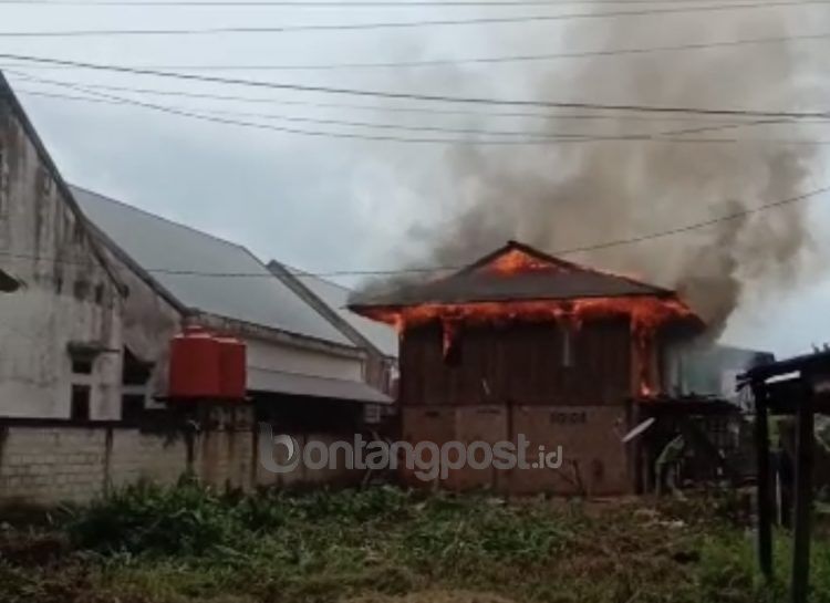 Kebakaran di Gunung Telihan