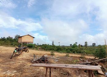 Pemodal Ditangkap, Tambang Liar Tetap Marak di Kawasan IKN