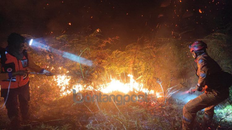 BPBD Bontang berupaya memadamkan kebakaran lahan di Bontang Lestari