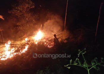 6,8 Hektare Lahan di Bontang Lestari Terbakar