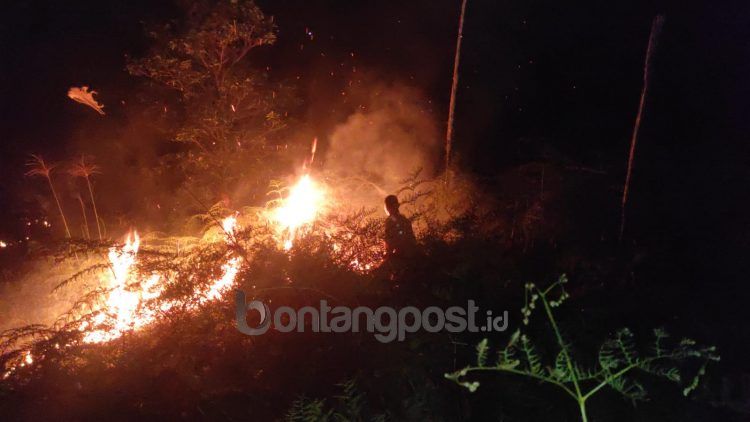 Kebakaran lahan di Jalan Soekarno-Hatta, Bontang Lestari