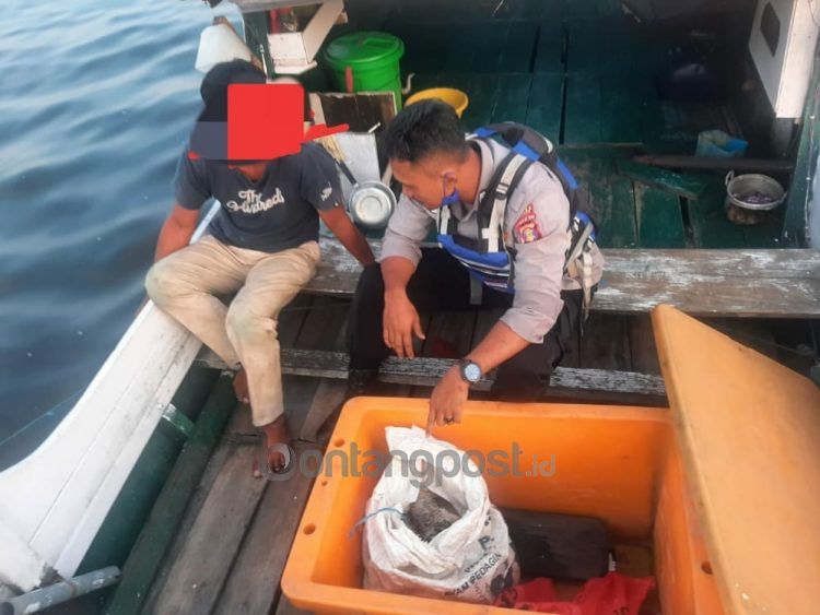 Nelayan yang kedapatan membawa daging penyu diringkus