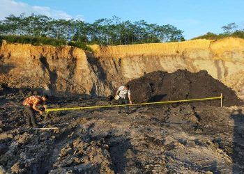 Tambang Ilegal Masih Marak di Bukit Tengkorak, Tim KPK Batal Turun