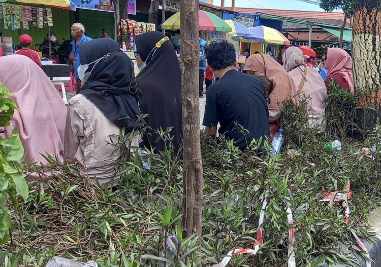 Sekira lima meter tanaman hias yang alami kerusakan akan dilakukan perawatan ulang oleh DLH (Lutfi Rahmatunnisa'/bontangpost.id)